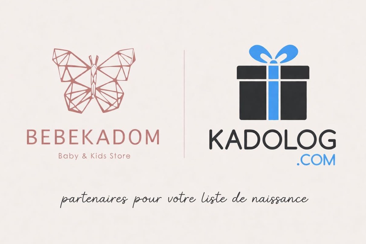 <h2 style="text-align: left;"><span style="font-family: Quicksand; font-size: 32px; color: rgb(165, 110, 97);">Partenaires Kadolog</span></h2>