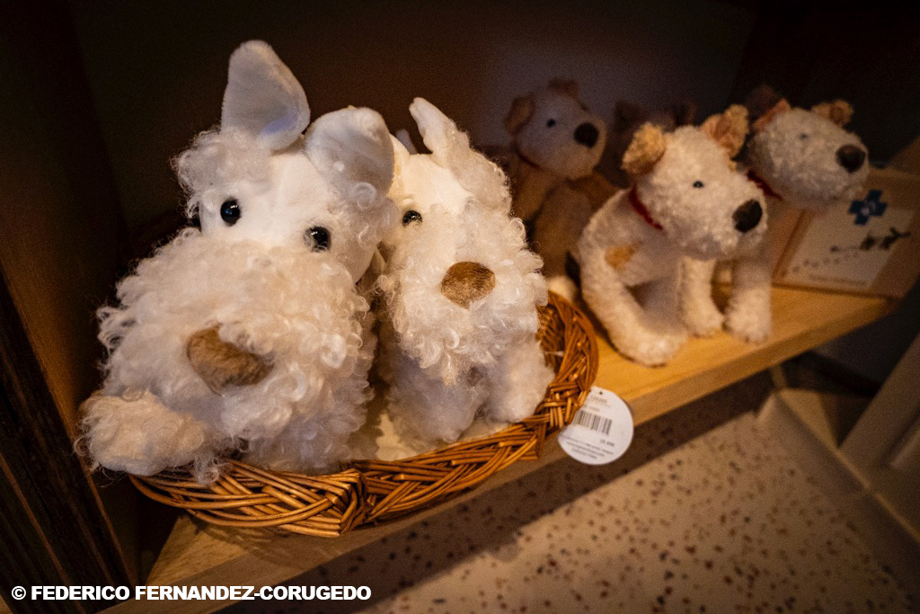 Image carrousel